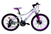 Велосипед Nameless J4000DW (2017)