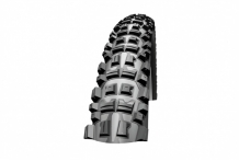 Schwalbe Big Betty Downhill