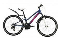 Велосипед Merida Matts J24 Girl (2015)