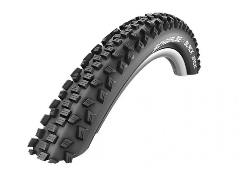 Купить Schwalbe Black Jack 20x1.90