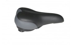 Aviva Sport  DS-2417