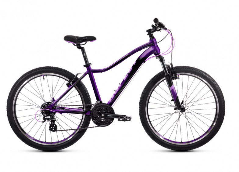 Купить Велосипед Aspect Oasis Фиолетовый (2020)