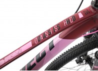Купить Велосипед Aspect Oasis HD Бордовый (2020)