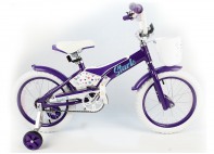 Купить Детский велосипед Stark Tanuki 16 Girl фиол. (2020)