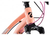 Купить Велосипед Aspect Alma HD Роз. (2020)