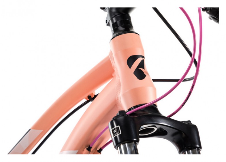 Купить Велосипед Aspect Alma HD Роз. (2020)