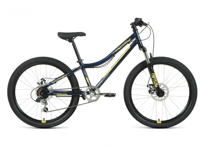 Купить Велосипед Forward Titan 24 2.2 син.-зол. (2021)