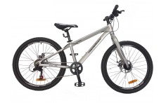 Велосипед Nameless J4000D серебр. (2024)