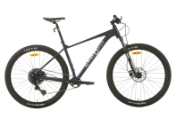 Купить Велосипед Alpinebike Alpstein-Altmann MTB 10 AIR