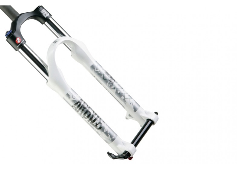 Купить Rock Shox Argyle 318