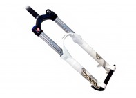 Купить Rock Shox Domain 318